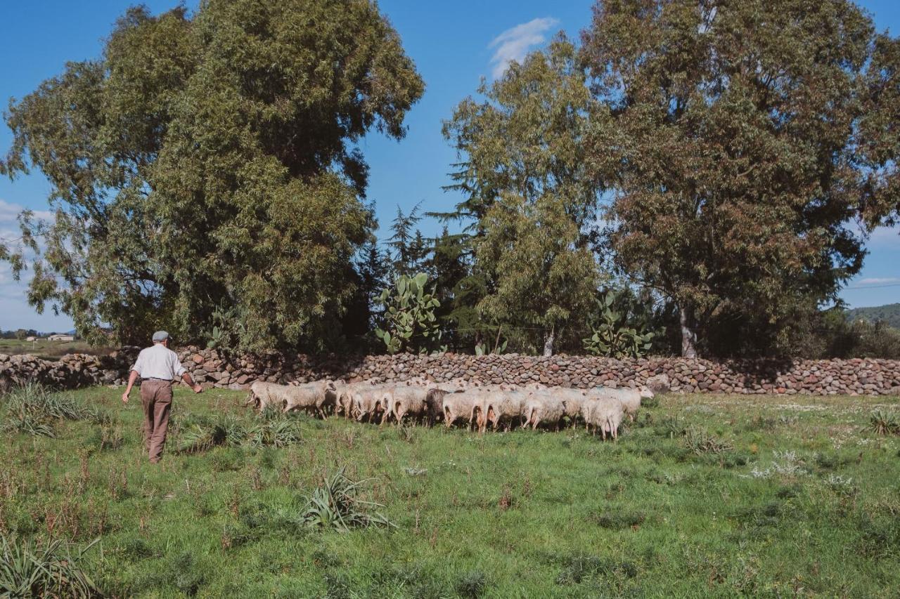 Binzas Betzas Agriturismo Sedilo Dış mekan fotoğraf