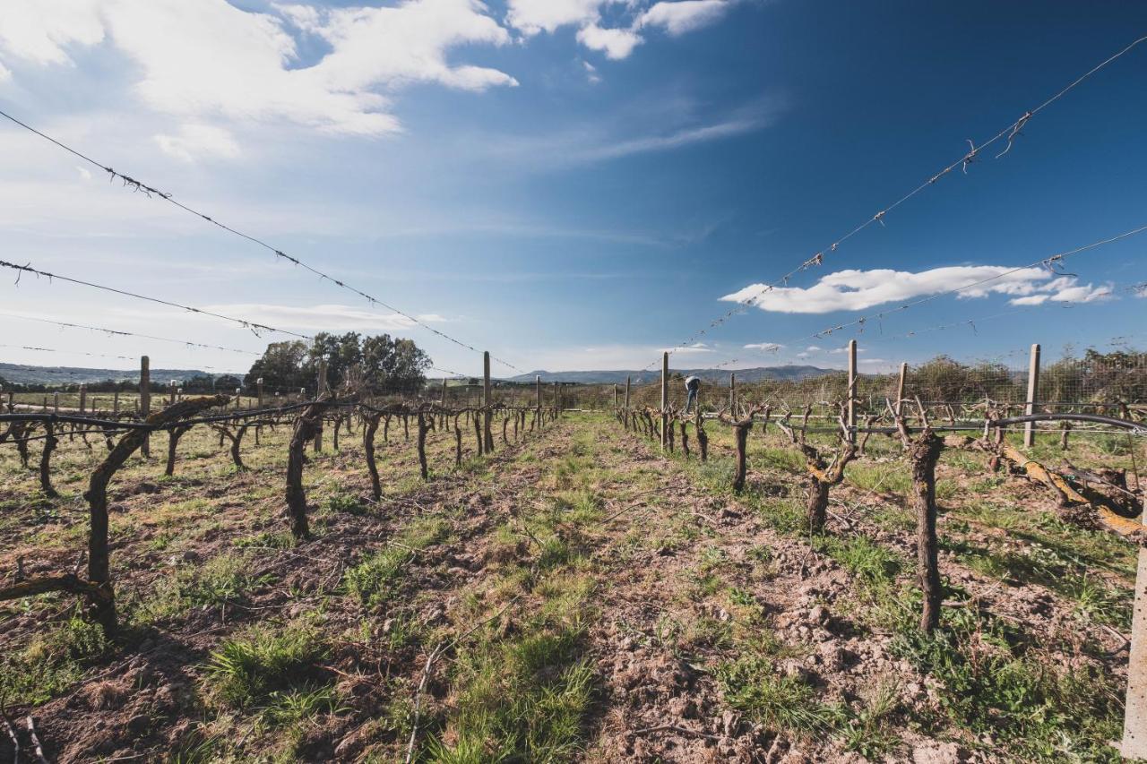 Binzas Betzas Agriturismo Sedilo Dış mekan fotoğraf